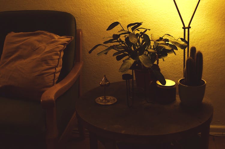 Small Round Table With Plants And Lamp