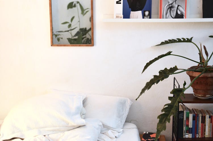 Bedroom Interior With Potted Plant And Photo On Wall