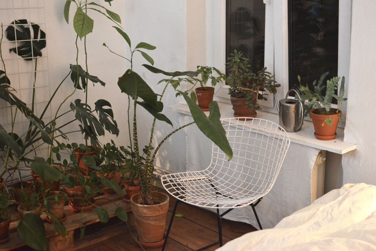 Wohnung gemütlicher machen: 4 praktische DIY-Anleitungen — Hero-Aufnahme