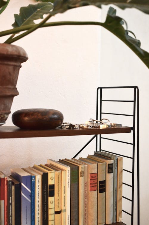 Collection of literature on metal shelf under pot with Philodendron and stone in house room