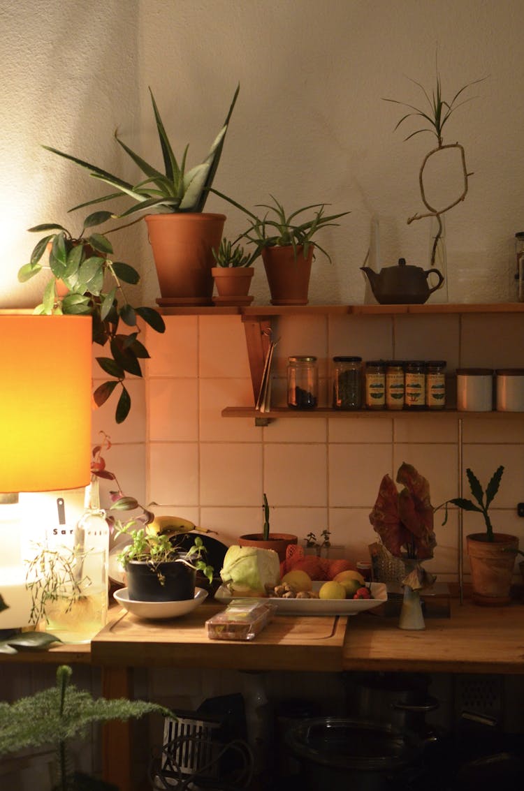 Potted Plants With Fresh Green Leaves In Kitchen With Jars