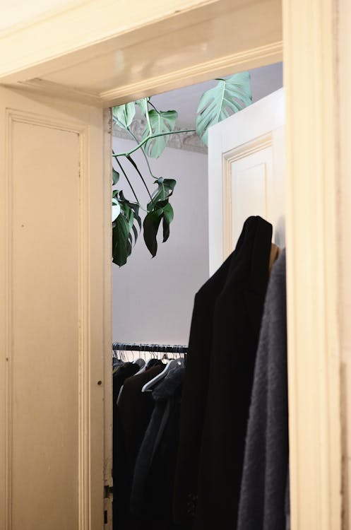 Cloakroom with clothes on hangers and green monstera · Free Stock Photo