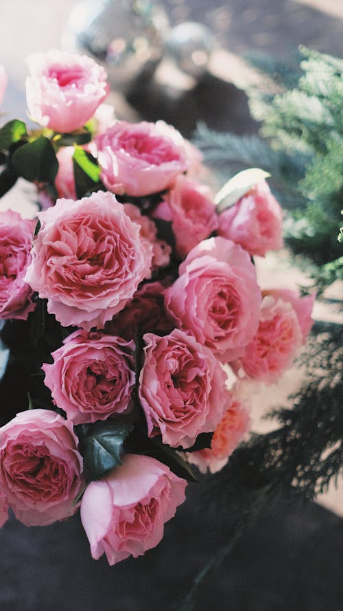 Gratis Foto stok gratis berkembang, buket bunga, bunga-bunga merah muda Foto Stok