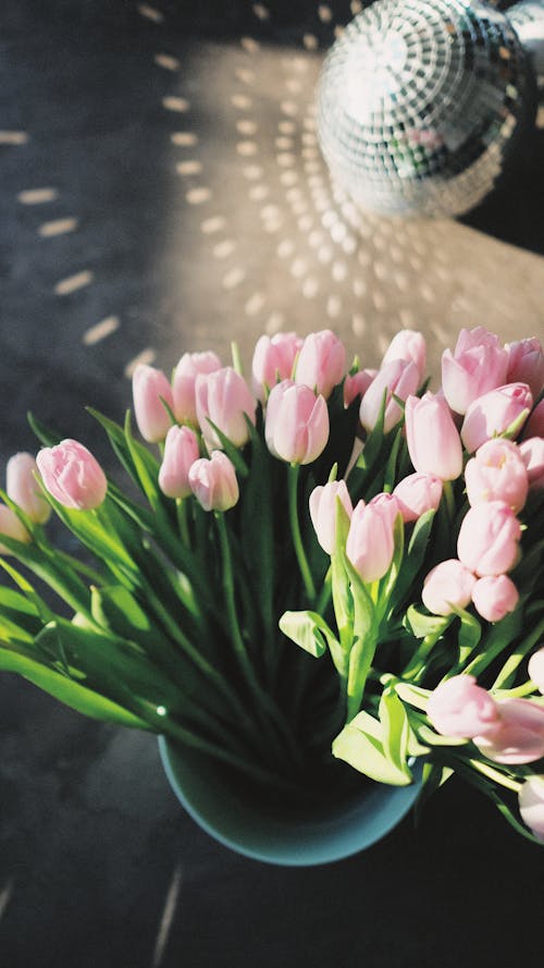 Photo of Pink Tulips