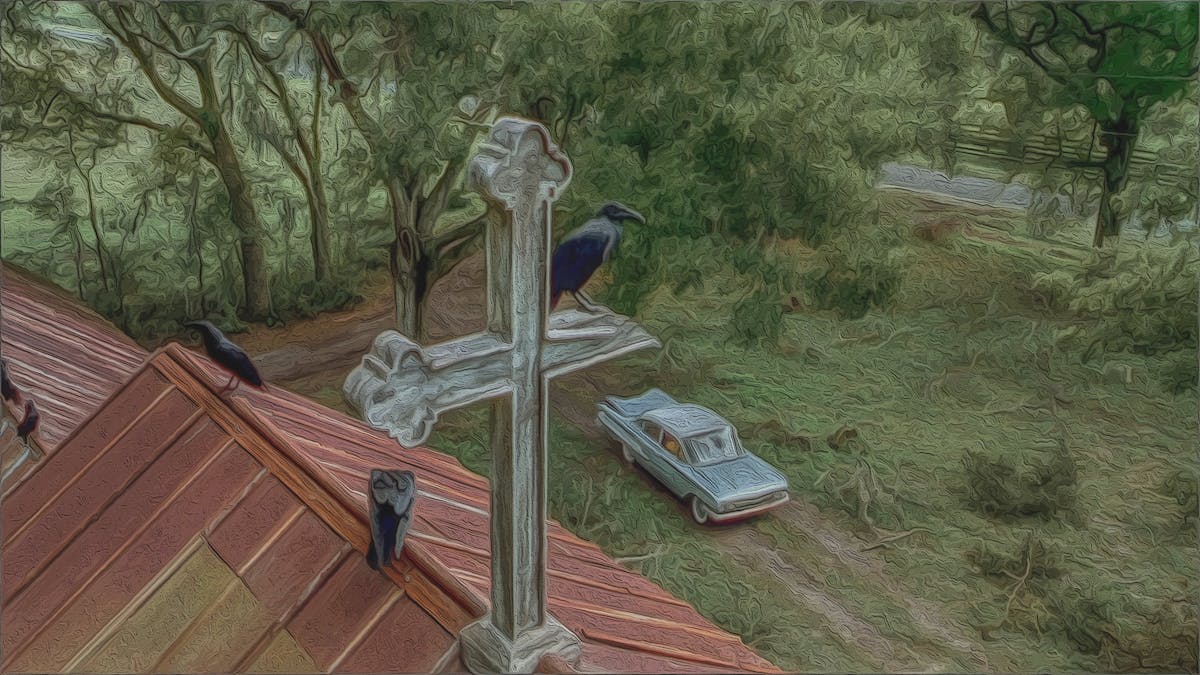 Cozy living room with neutral tones, wooden furniture, and soft textiles, creating a calm and resilient atmosphere