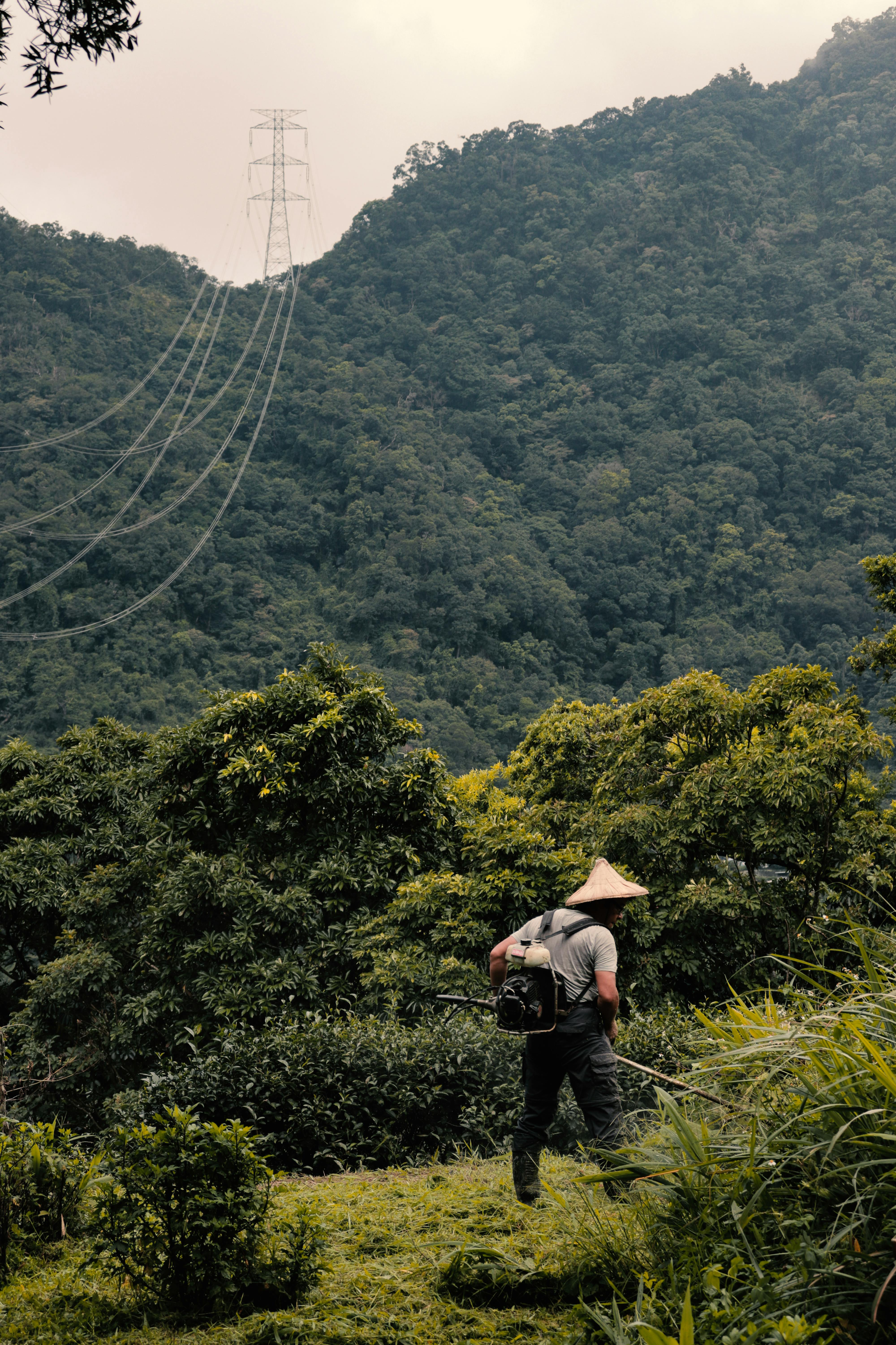 A man in a conical hat explores a lush forest with power lines in the background in Taipei.