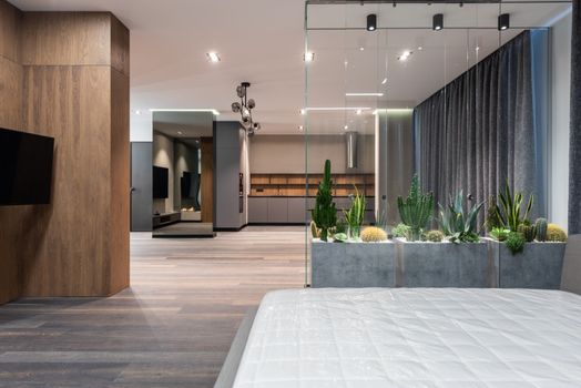 Modern interior of big studio with houseplants