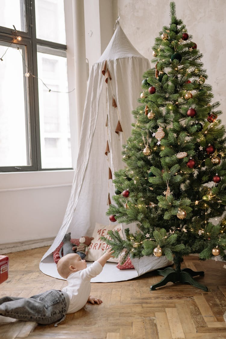 Baby Boy Reaching For The Christmas Tree