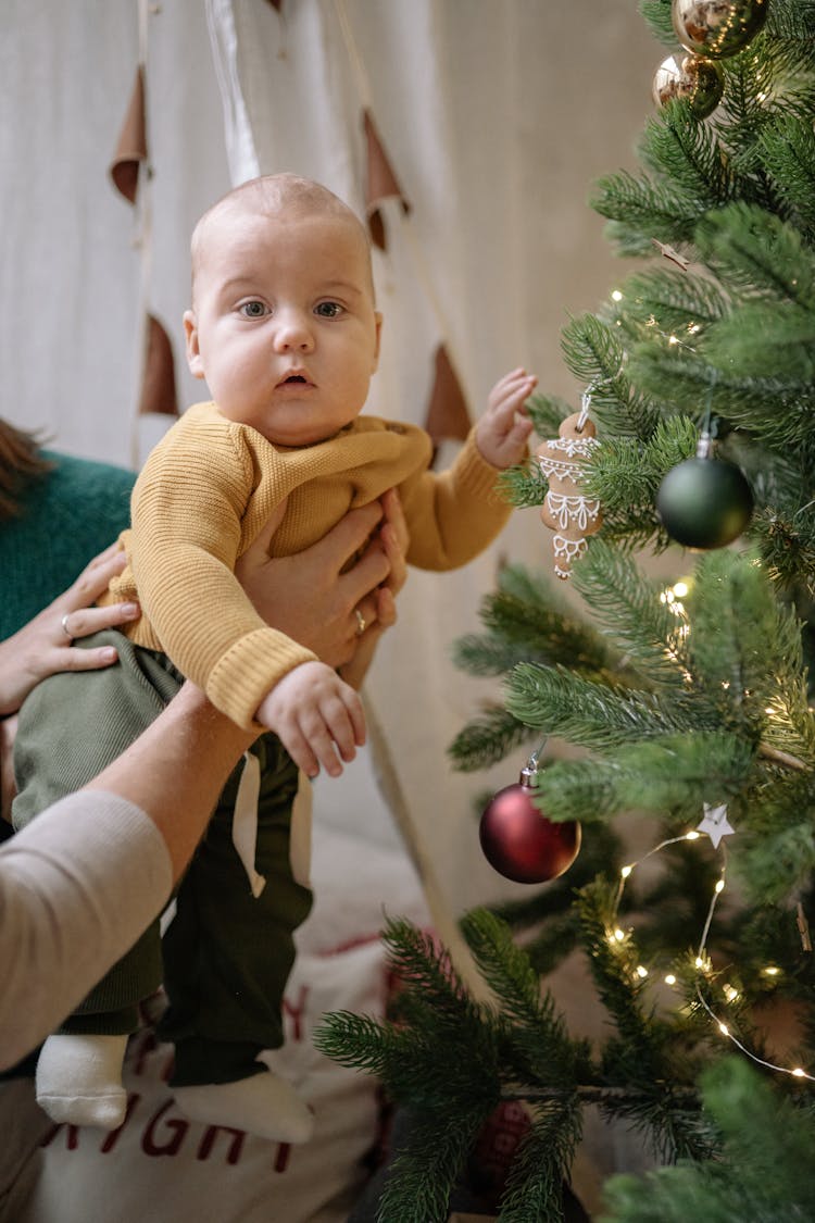 Baby Boy In Yellow Sweater Touching A Christmas Tree