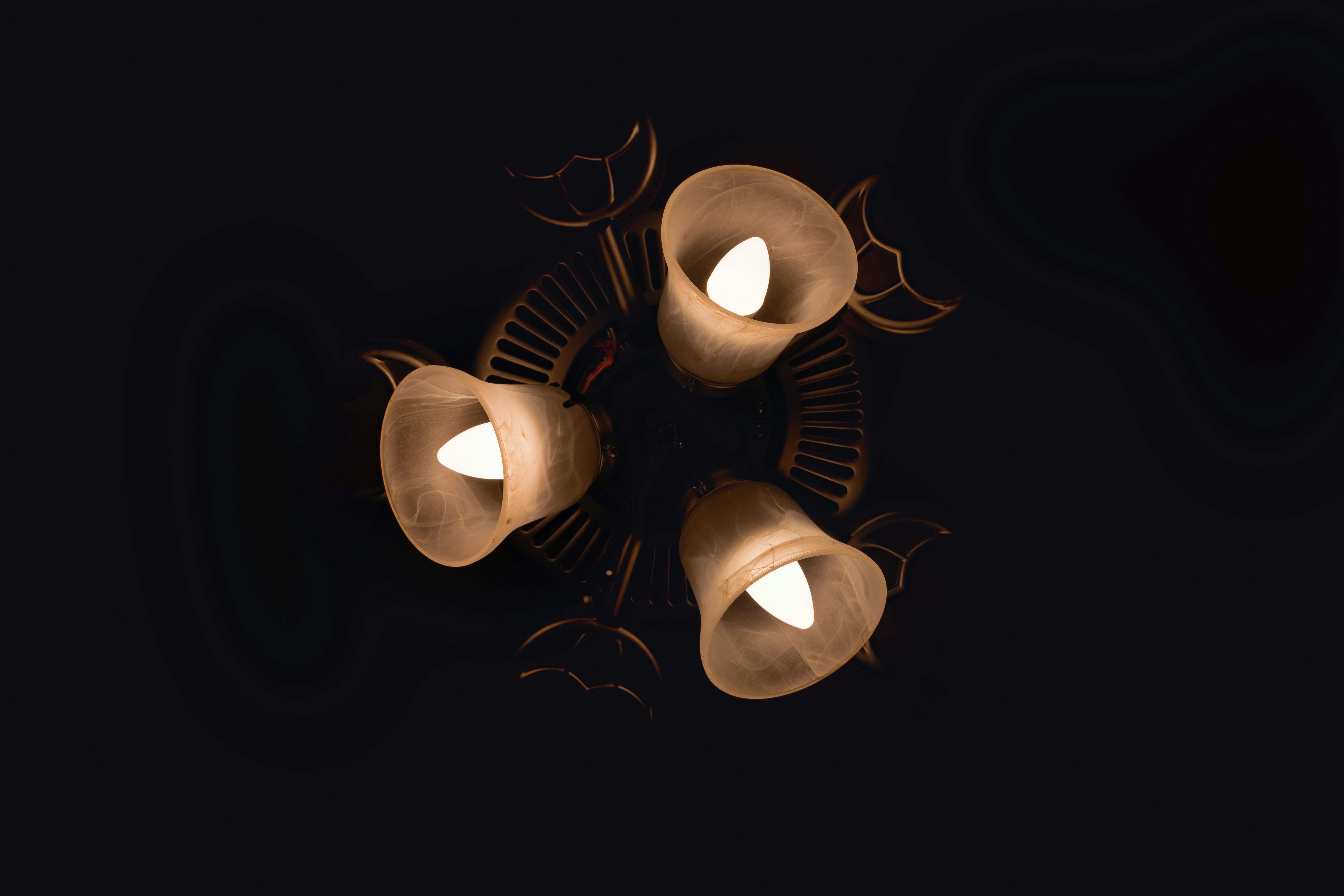 Delicious Icelandic food