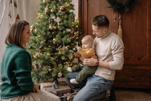Fotos de stock gratuitas de adorable, adornos de navidad, árbol de Navidad