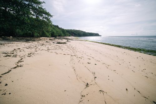 Free Tranquil sandy beach with clear skies and verdant trees along the coastline. Stock Photo