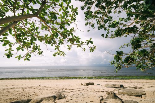 Free Peaceful sandy beach with lush green foliage framing the horizon against a cloudy sky. Stock Photo
