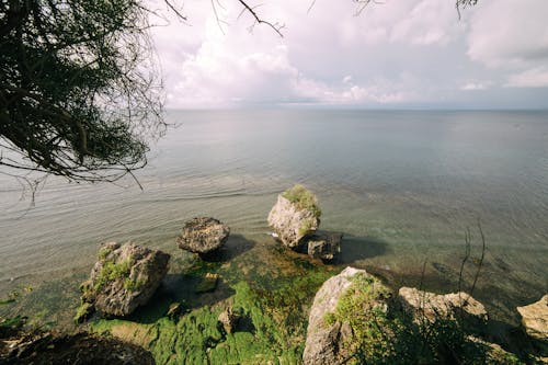 Immagine gratuita di albero, bellezza nella natura, idilliaco