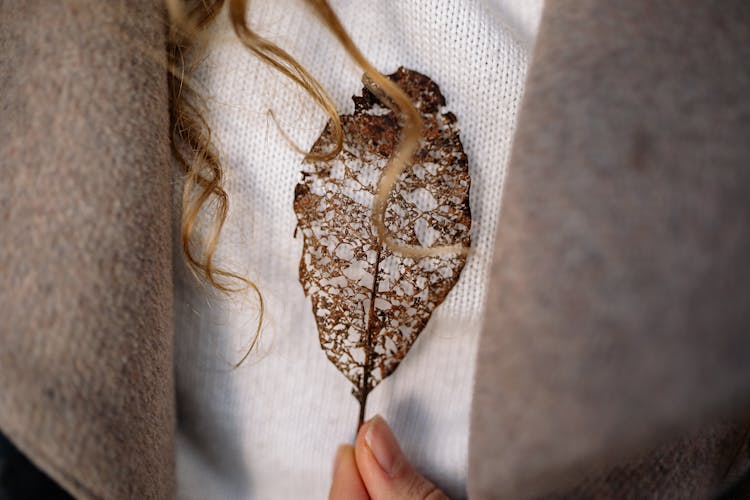 Lace Pattern On A Brown Leaf And Autumn Clothes