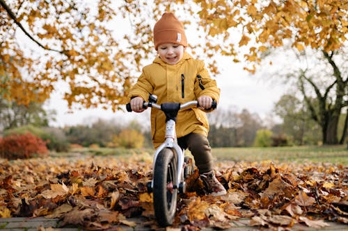 Gratis lagerfoto af barn, blade, cykel