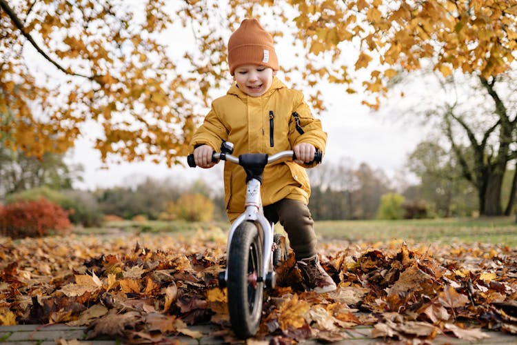 Smiling Boy Riding Bike In Autumn Park