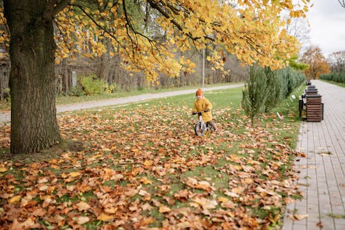 Fall Fitness Ideas for Outdoor Enthusiasts