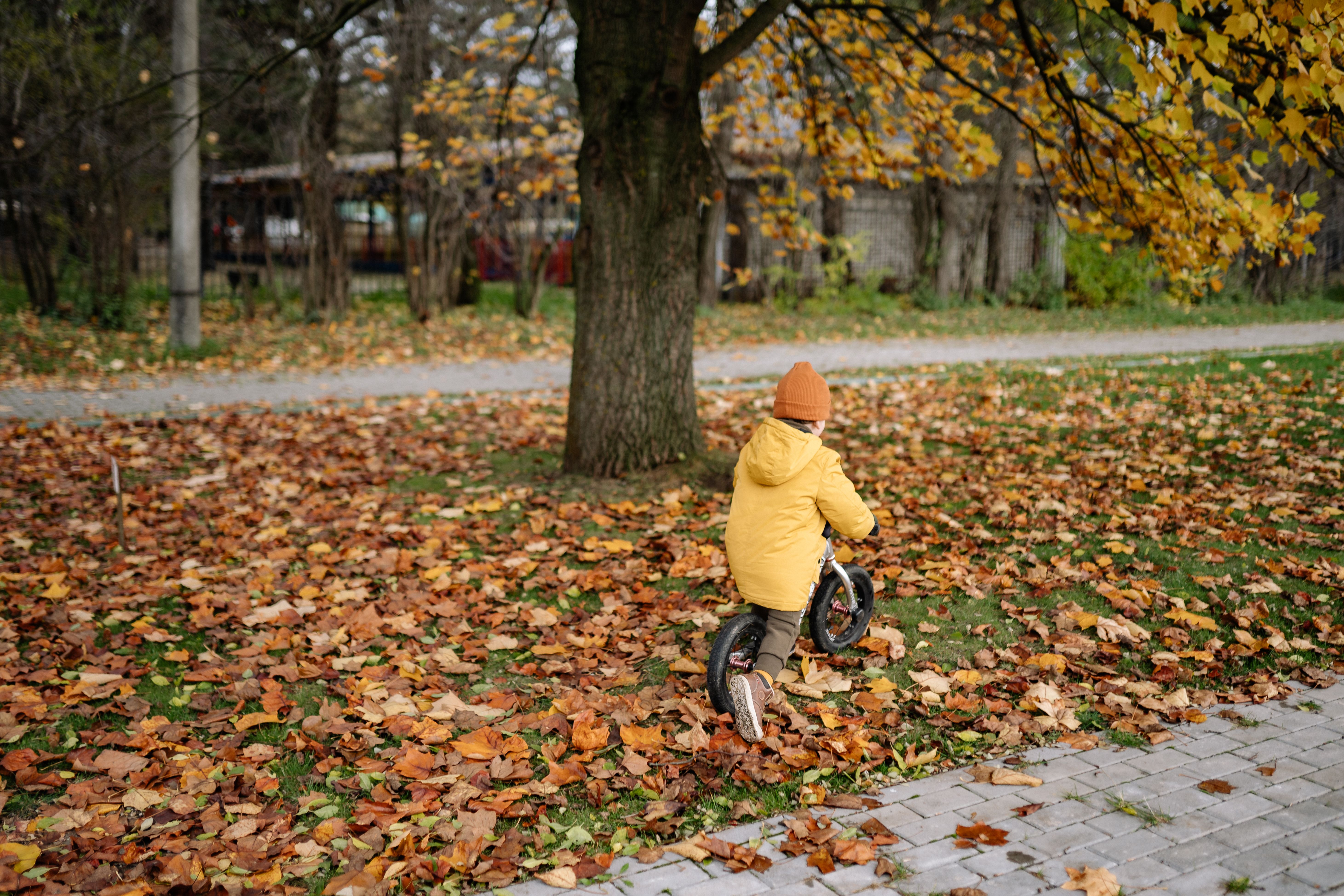 A child in a yellow jacket rides a balance bike through autumn leaves in a park.