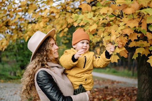 Woman in Blond Curly Hair Holding a Boy in a Yellow Coat Touching Yellow Tree Leaves