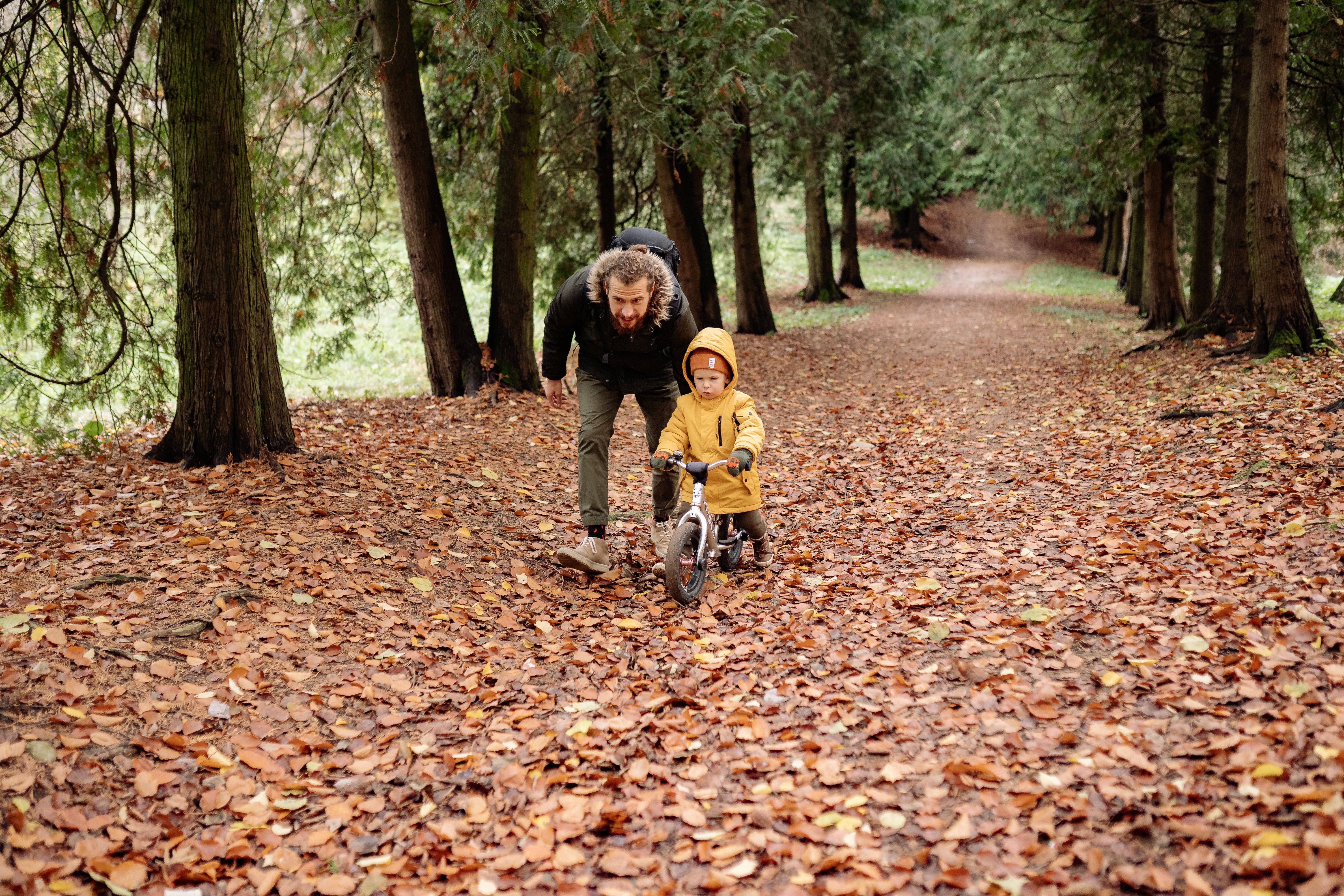Father guiding child on balance bike through leafy autumn park path.