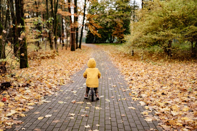 Back View Of A Child In A Yellow Coat On Bike In An Autumn Park