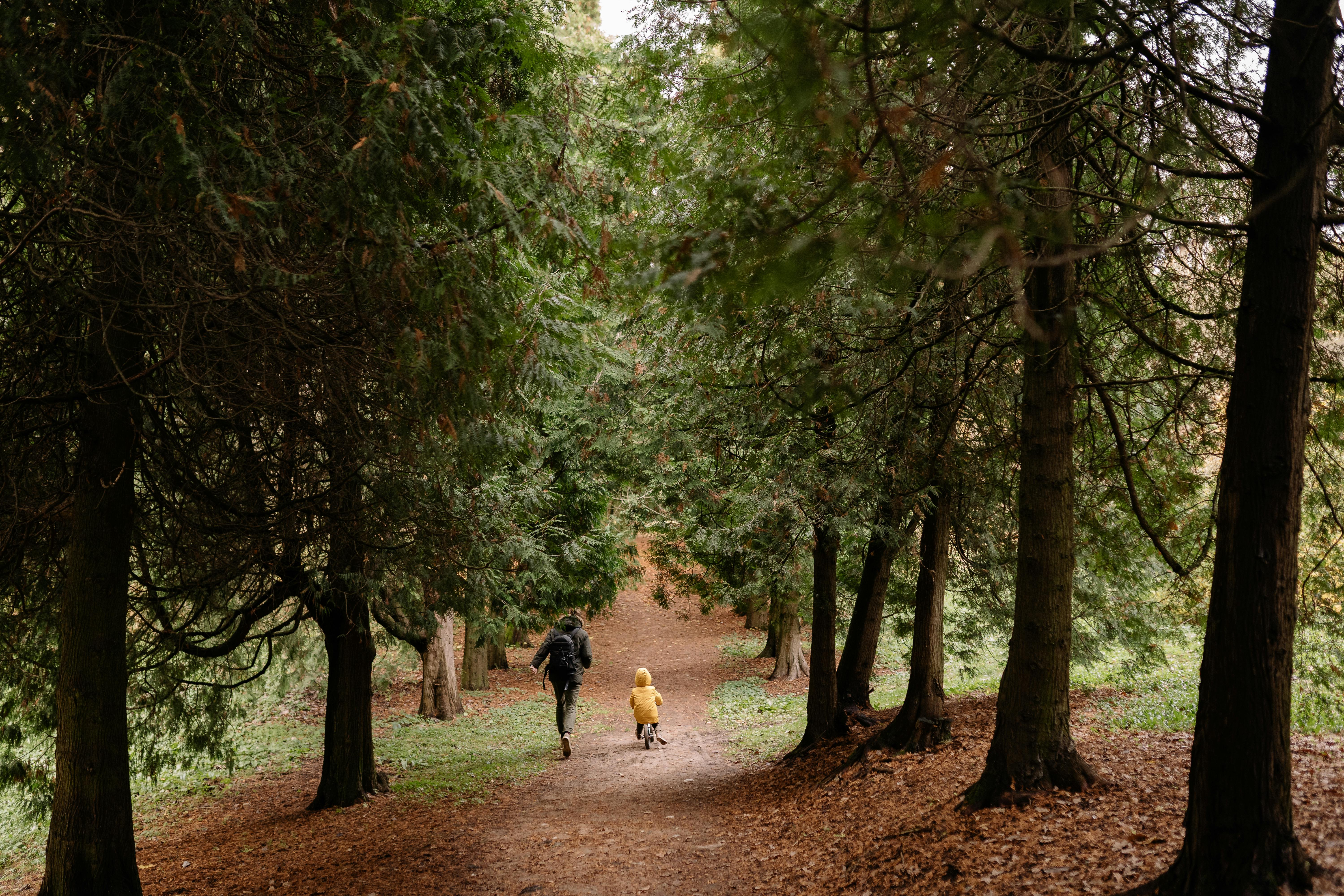 Kids Mountain Bike - The Whole Family Can Ride