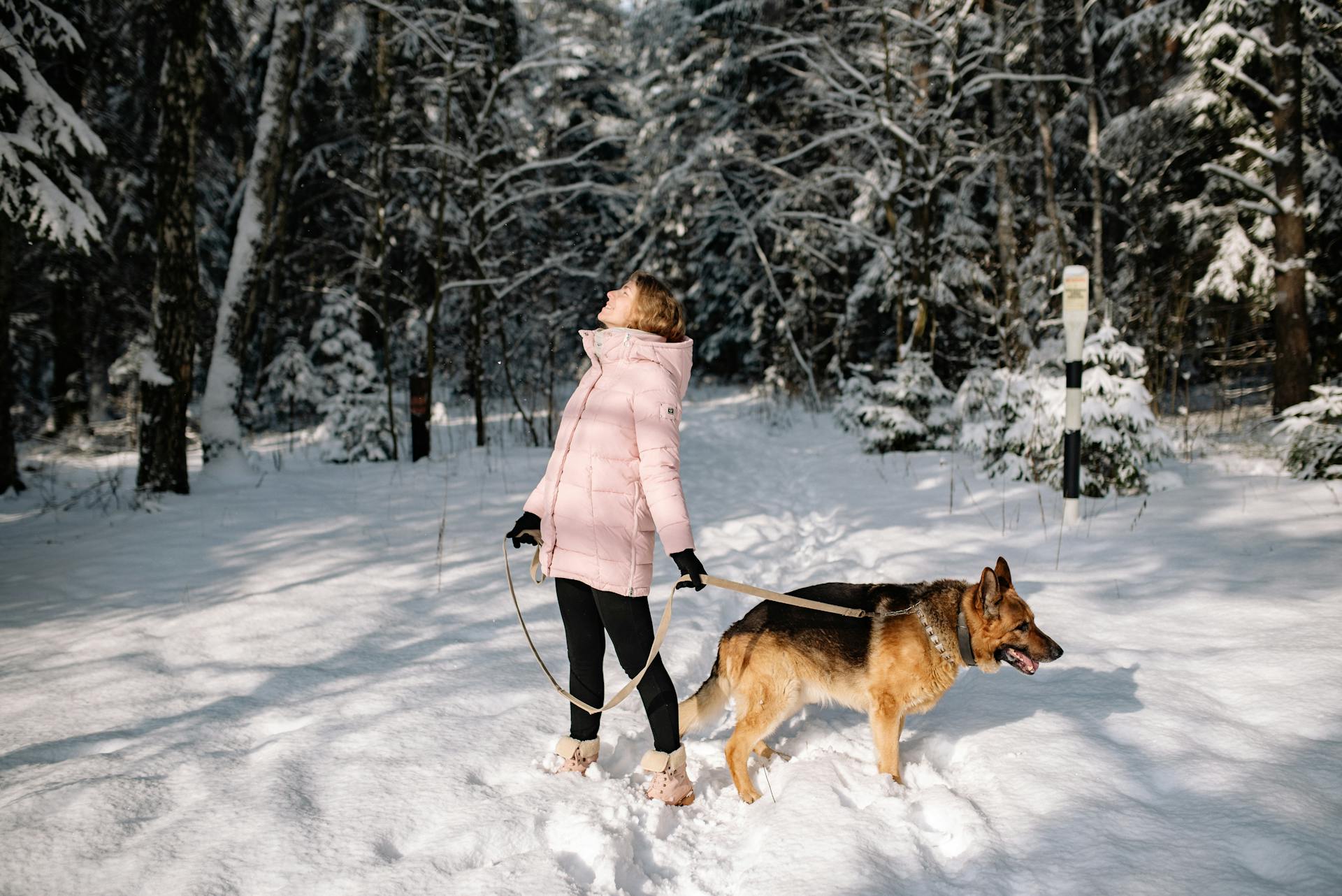 Woman Looking Up While Holding the Leash of a Dog