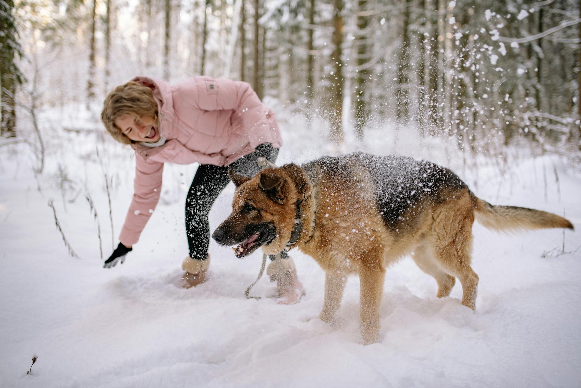 Woman Playing with a Dog on Snow Covered Ground