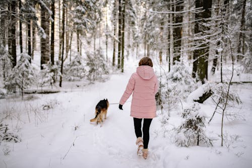 免费 下雪的, 冬季, 冬衣 的 免费素材图片 素材图片