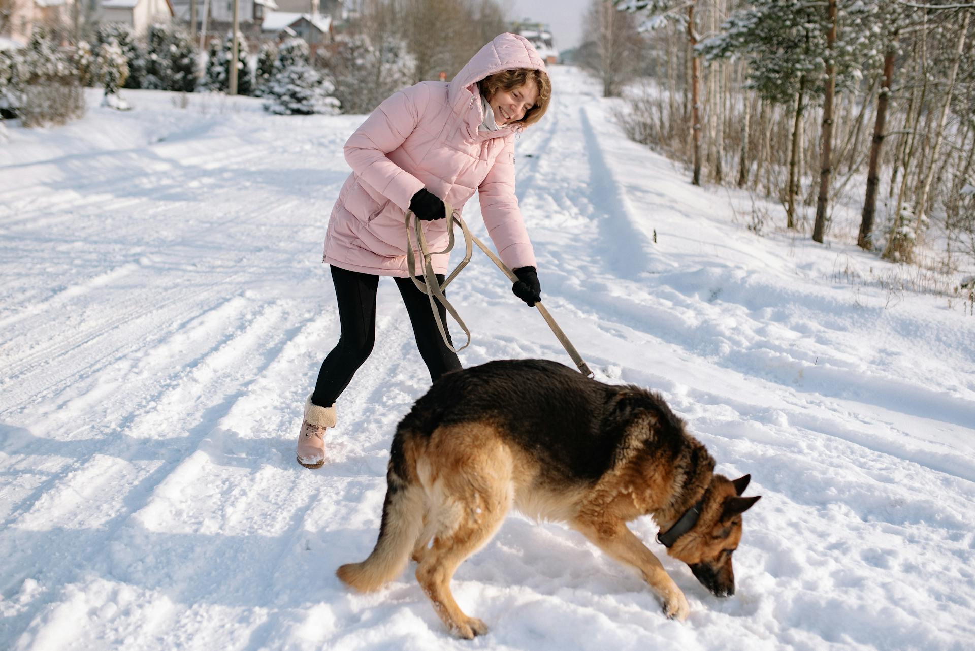 Woman Wearing Jacket Holding the Leash of a Dog