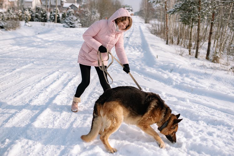 Woman Wearing Jacket Holding The Leash Of A Dog