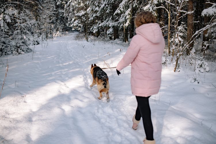 Person Walking On Snow Covered Ground With A Dog