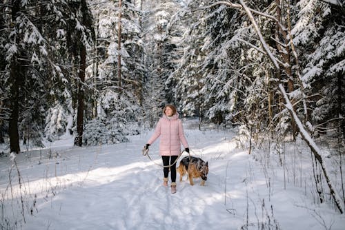Woman in Pastel Pink Winter Jacket Walking with Dog in Forest Snow