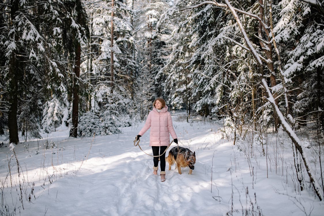 People with a dog spirit animal