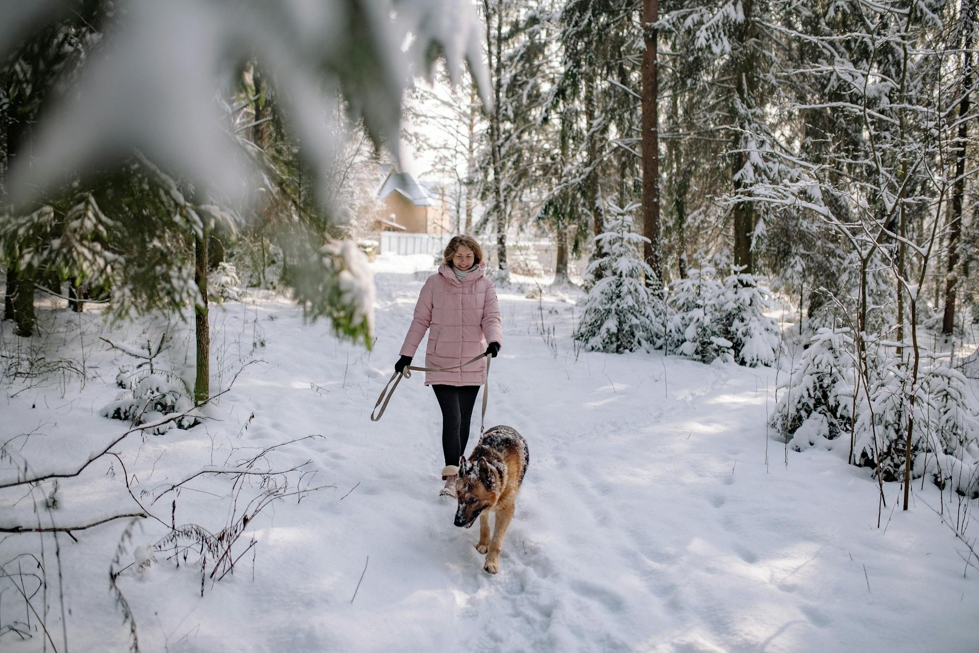 Woman Walking a Dog in Winter Forest