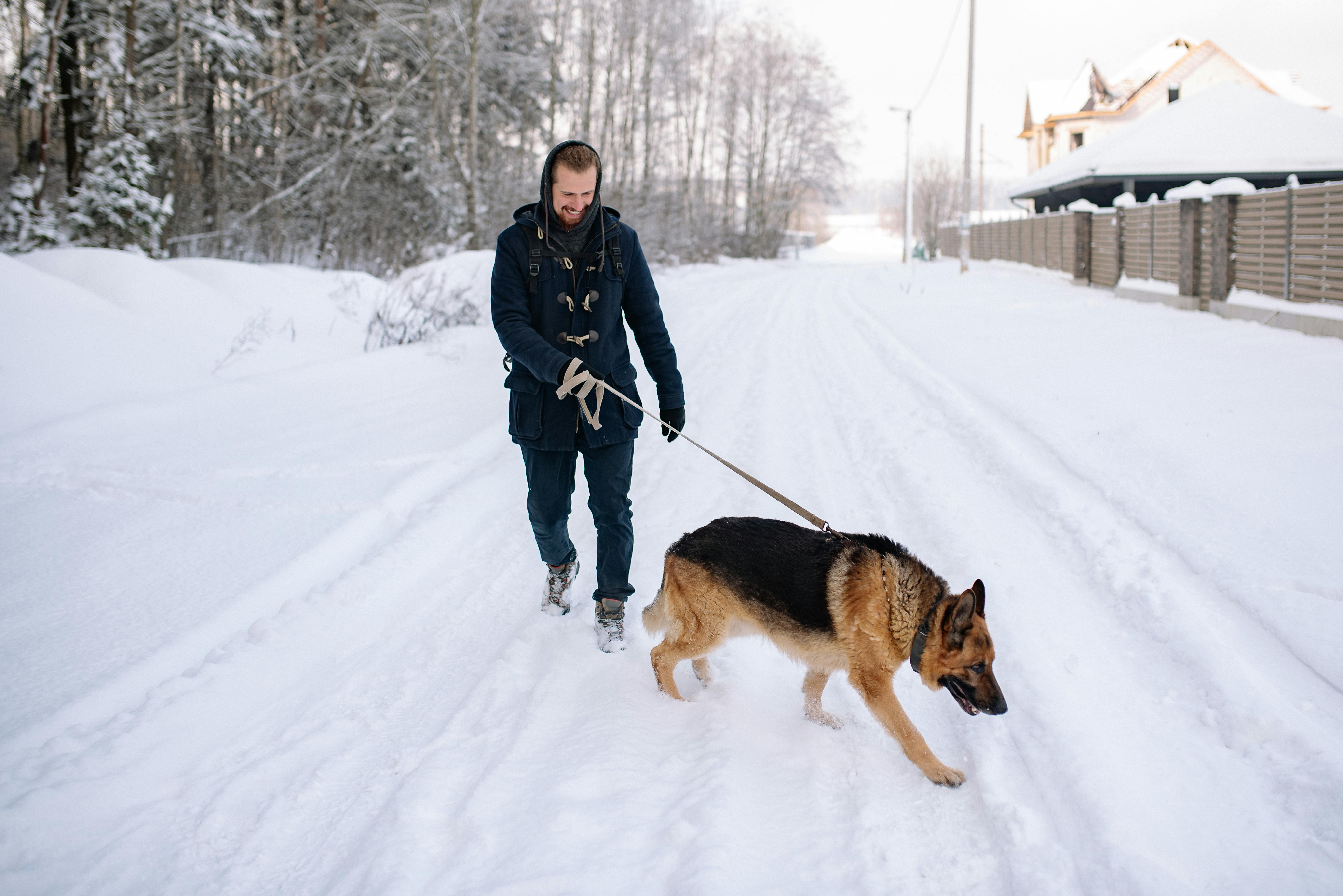 A man walks a German Shepherd on a snowy road in a serene winter landscape.