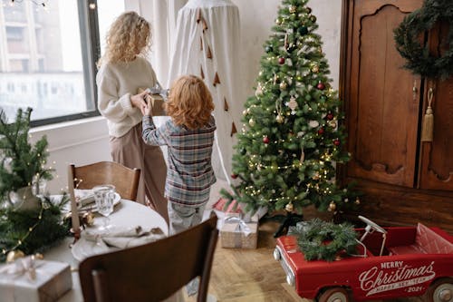 Foto profissional grátis de alegria, árvore de Natal, brincalhão