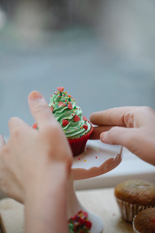 Crop person putting cupcake in glass showcase