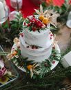 Table with delicious cake decorated with berries and leaves