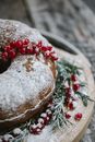 From above of appetizing cake with icing sugar and red currant bundle near pine sprigs on Christmas day