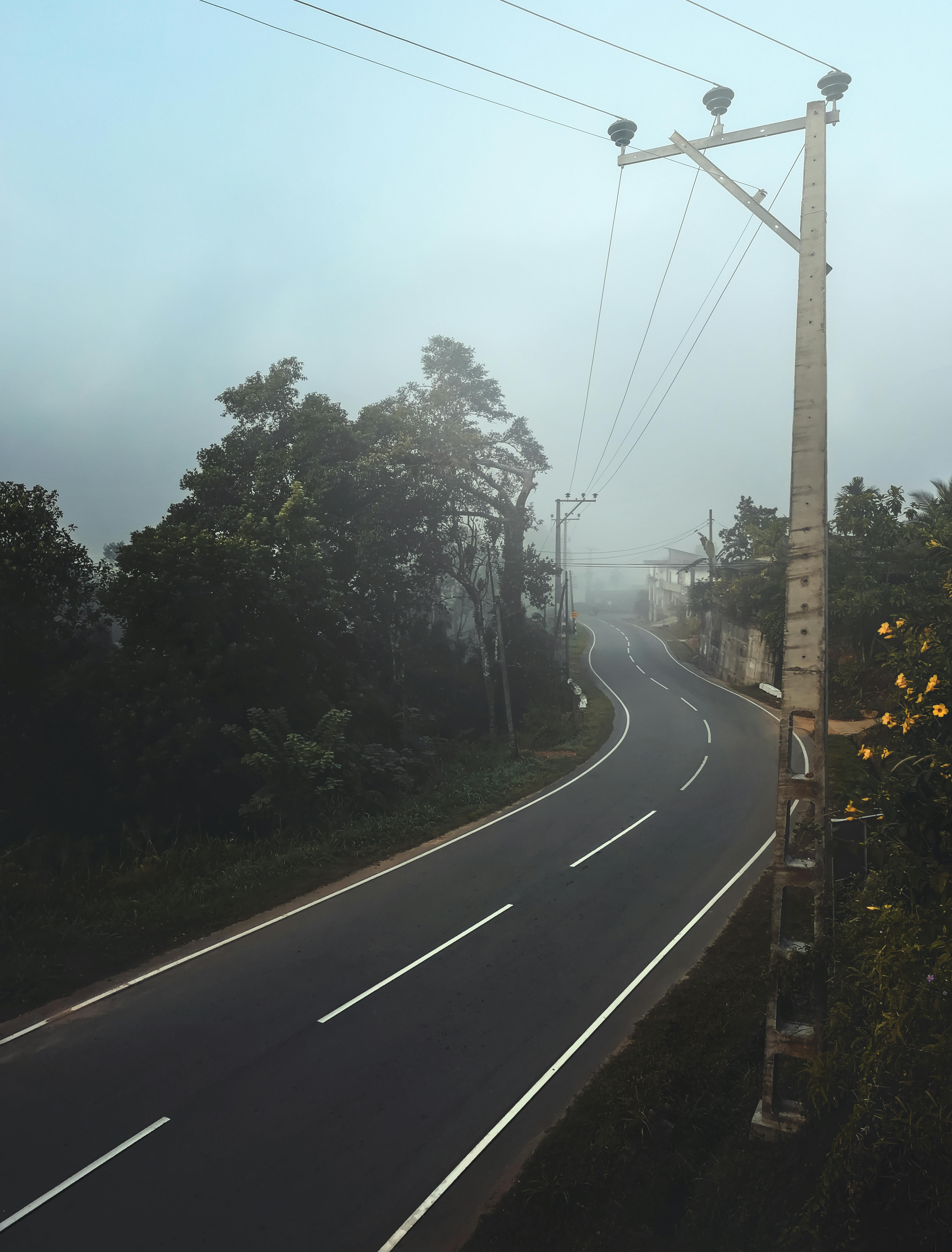 Electric Wires Across the Road · Free Stock Photo