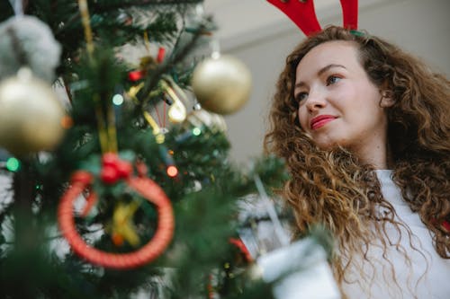 Immagine gratuita di abete, affascinante, albero di natale