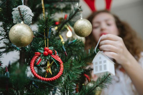Woman decorating fir tree with toy · Free Stock Photo