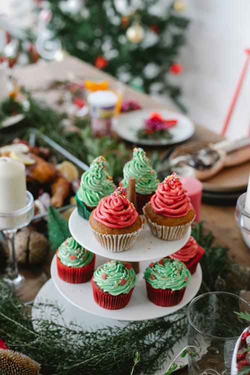 navidad, 가지, 겨울의 무료 스톡 사진