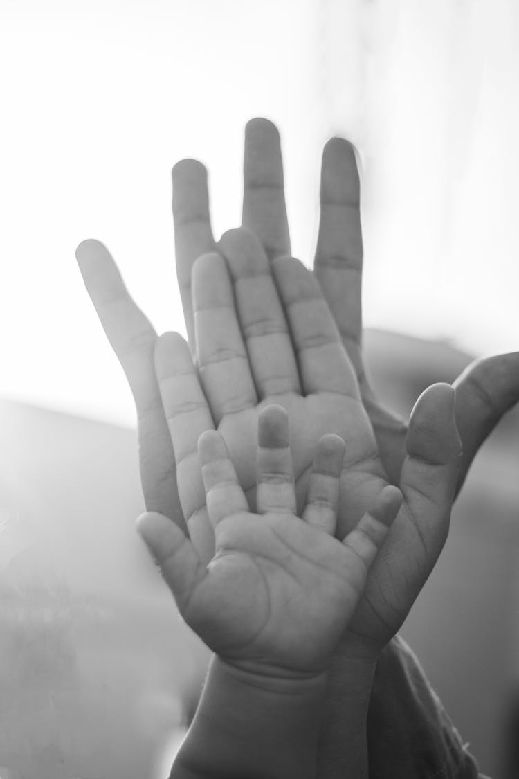 Close-up Of Parents And Child Palms Together