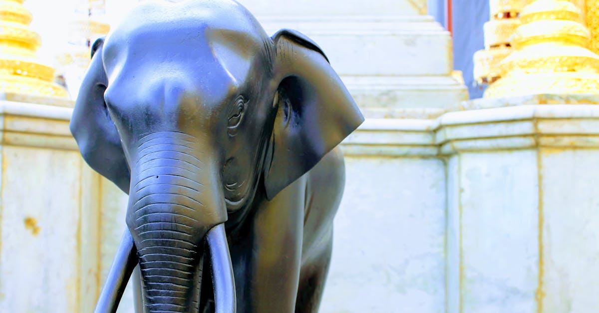 Free stock photo of elephant, silver elephant, simple