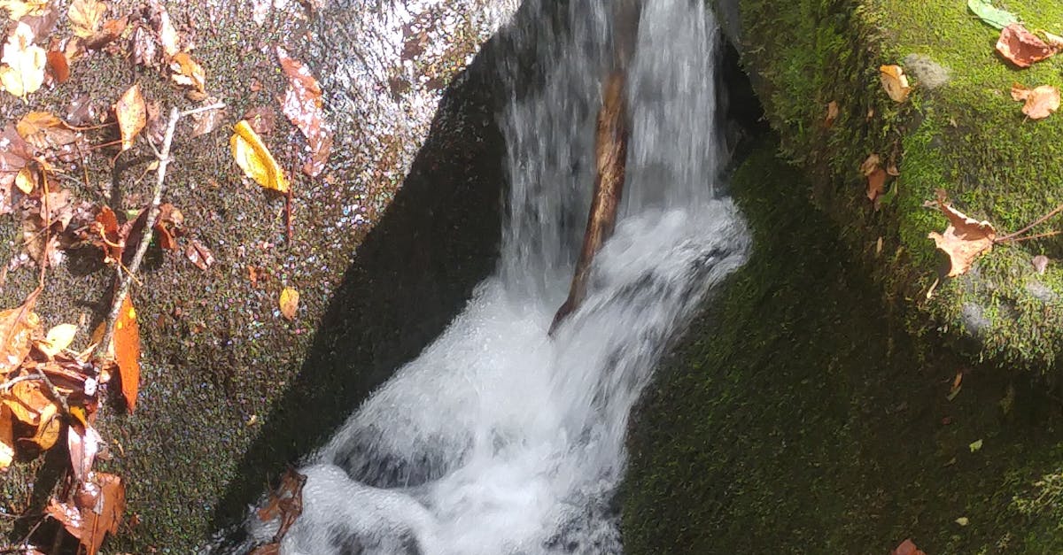 Free stock photo of falling water, mountain stream, nature photography