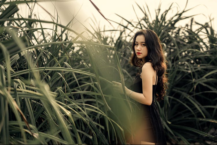 Ethnic Woman Standing In Field With Tall Grass