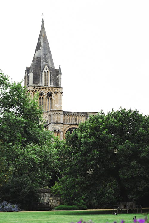 Facade of historic stone church with spire and ornamental arched windows located amidst verdant green trees on clear summer weather
